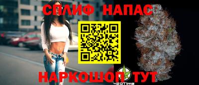 мдпв Будённовск
