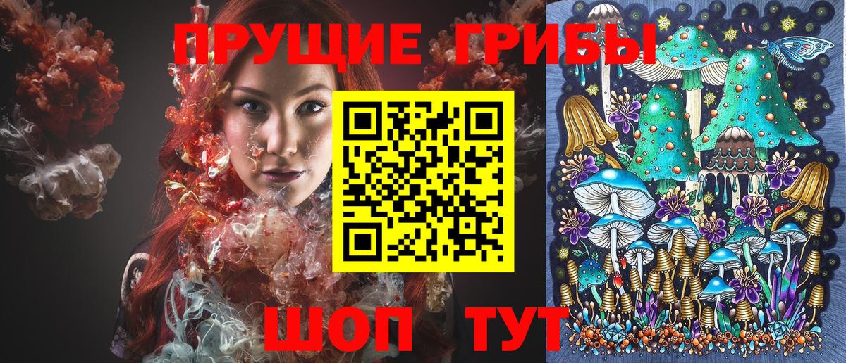 Галлюциногенные грибы мухоморы  Вход с VPN  Галлюциногенные грибы мицелий  даркнет сайт  Долгопрудный 